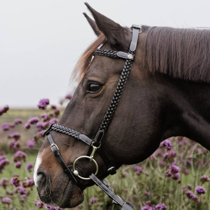 Hodelag Plaited Training Working Collection Svart i gruppen Hesteutstyr / Hodelag & Pannebånd / Hodelag hos Equinest (WOXXJGBLCBA_r)