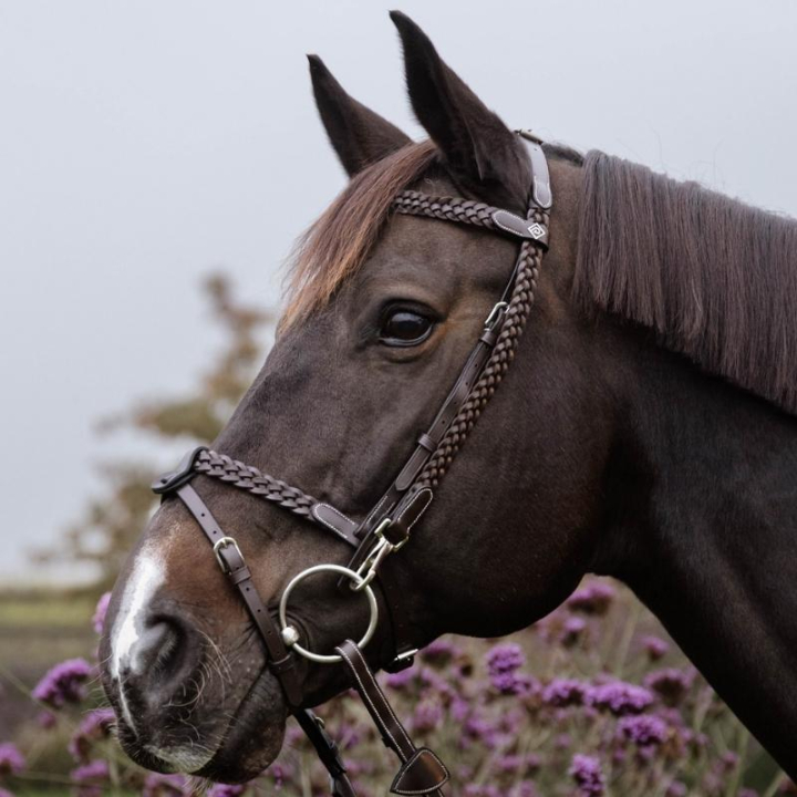 Hodelag Plaited Training Working Collection Brun i gruppen Hesteutstyr / Hodelag & Pannebånd / Hodelag hos Equinest (WOXXJGBRCBR_r)