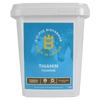 Thiamin
