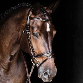 Hodelag Monza Brun