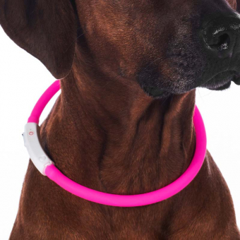 Hundehalsbånd LED Lights Rosa