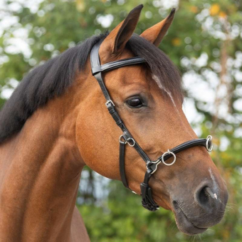 Kapsun Leather Svart