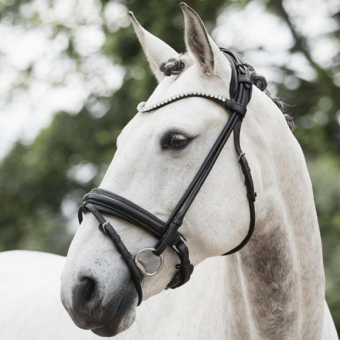 Dressurhodelag Caselle Supreme Svart