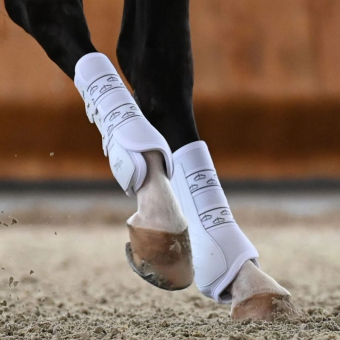 Dressurbeskyttere Absolute Rear Elastic Hvit