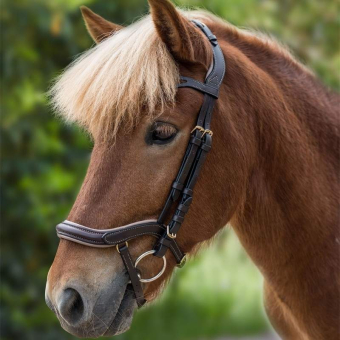Islandshodelag Anatomic Brun