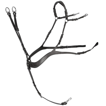 Anatomisk Forbygel med Martingal Svart/Silver