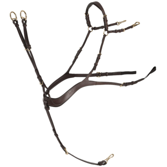 Anatomisk Forbygel med Martingal Chocolate/Gull