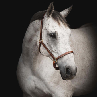 Lærgrime Track Supreme Brun