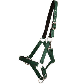 Grime Double Buckle Grønn