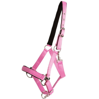 Grime Double Buckle Rosa