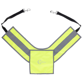 Bryst Highly Reflective Gul