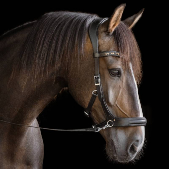 Bittløst Hodelag Moonlight Sidepull Svart