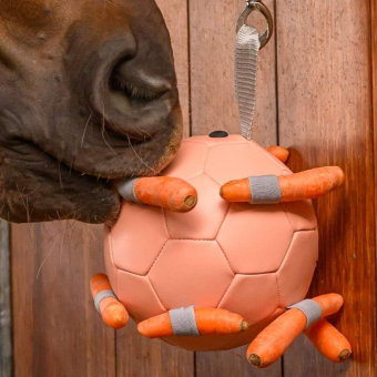 Hesteleke Carrot Ball Rosa