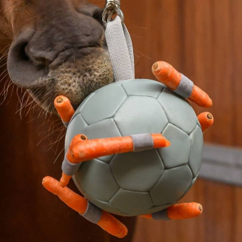 Hesteleke Carrot Ball Grønn