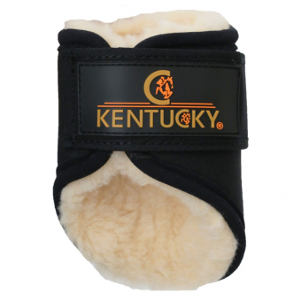 Treningsbelegg Solimbra Hind Short Svart