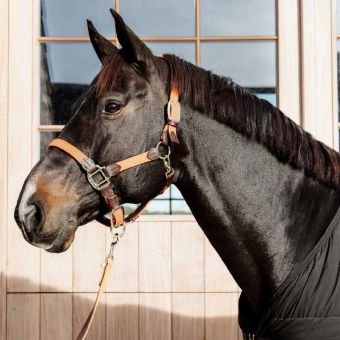 Grime Plaited Nylon Orange