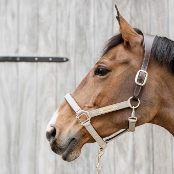 Grime Anatomic Nylon Beige