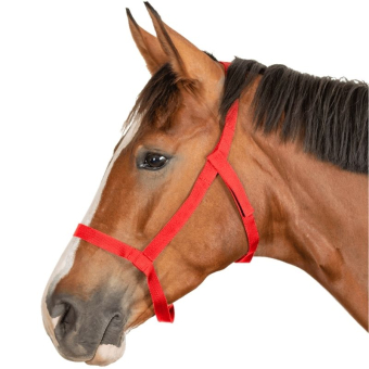 Beitegrime Grazing Rød