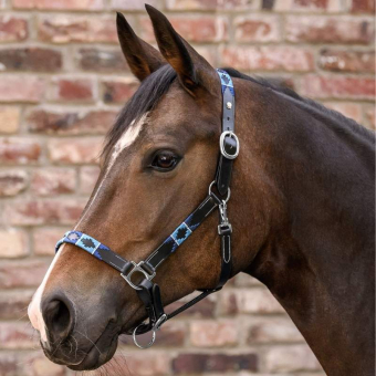 Lærgrime Polo X-Line Svart/Blå