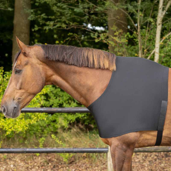 Bogbeskytter Elastic Svart