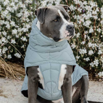 Hundedekken Winter Pina 160g Blå