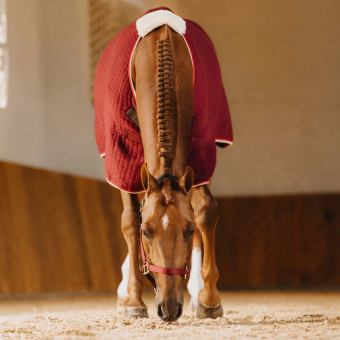 Svettedekken PROTherm Vinrød