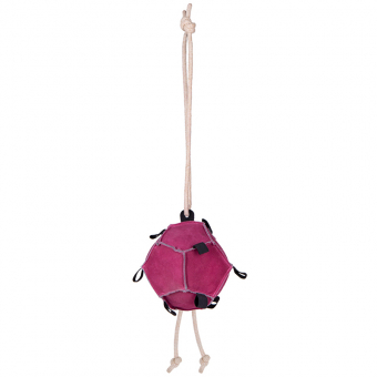 Hestelek Selvball i Mocka Rosa