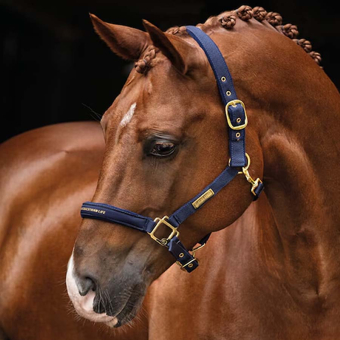 Grime HS Equestrian Life Marineblå