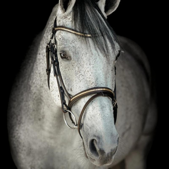 Hodelag HS Clincher Aachen Brun
