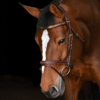 Hodelag Thamar E-Logo Clincher Brun/Messing
