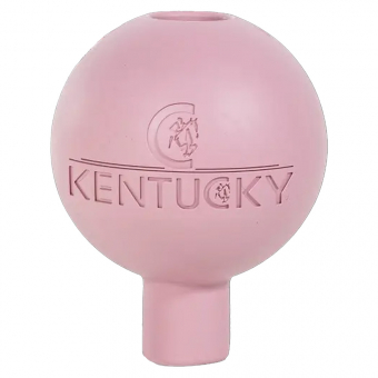 Beskyttelseskule Lead & Wall Protection Rubber Gammelrosa