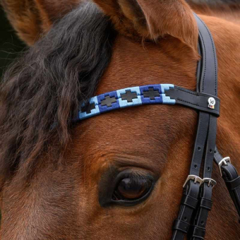 Pannereim Polo X-Line Svart/Blå