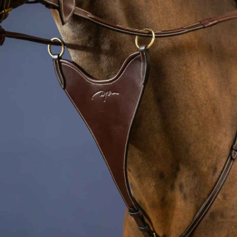 Kort martingal Hard Bib Dyon Collection Brun