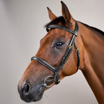 Hodelag uten Nedre Nesereim Plaited Dyon Collection Svart