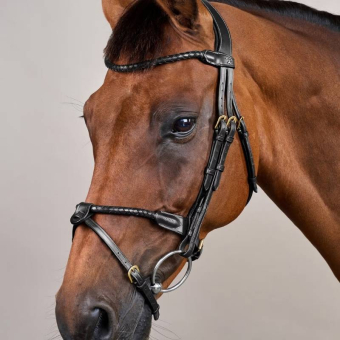 Hodelag Kombinert Nesereim Braided Dyon Collection Svart