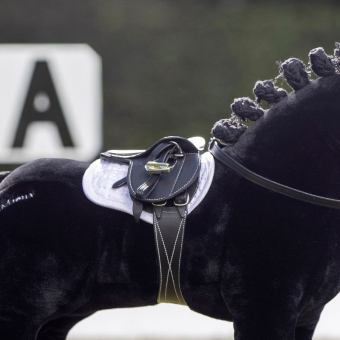 Sal Toy Pony Svart