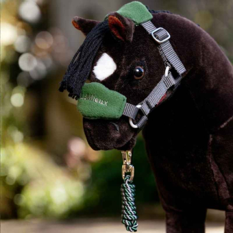 Grime og leietau Toy Pony Vogue Grønn