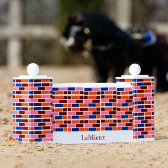 Puissance Wall Toy Pony Multi