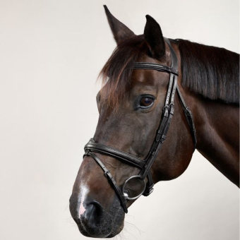Hodelag Kombinert Nesereim New English Collection Svart