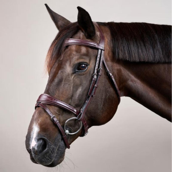 Anatomisk Hodelag Kombinert Nesereim New English Collection Brun