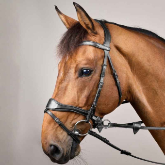 Hodelag D Motion New English Collection Svart