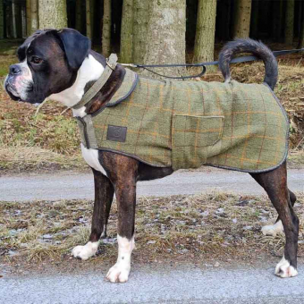 Hundedekken Tweed Grønn
