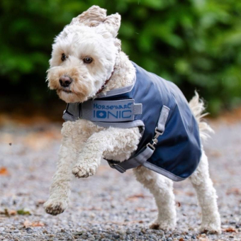 Hundedekken Ionic Therapy 50g Blå/Sølv