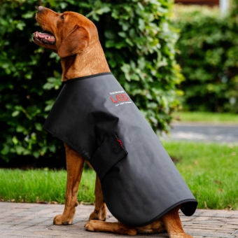 Terapidekken Hund LED Red Light Therapy Svart 