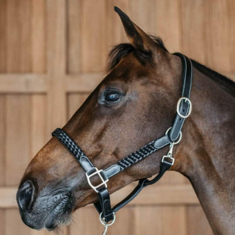 Lærgrime Plaited WBD Svart