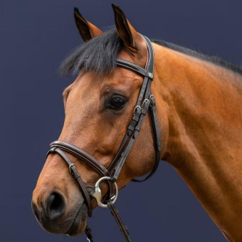 Hodelag Classic kombinert nesereim WC Brun