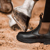 Jodhpurs Protective Ståltå Svart/Brun Jodhpurs Protective Ståltå Svart/Brun