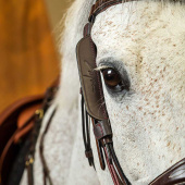 Skylapper / Blinkers 2-pk Brun Skylapper / Blinkers 2-pk Brun