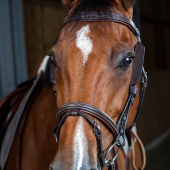Skylapper / Blinkers 2-pk Brun Skylapper / Blinkers 2-pk Brun