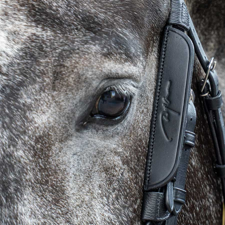 Skylapper / Blinkers 2-pk Svart